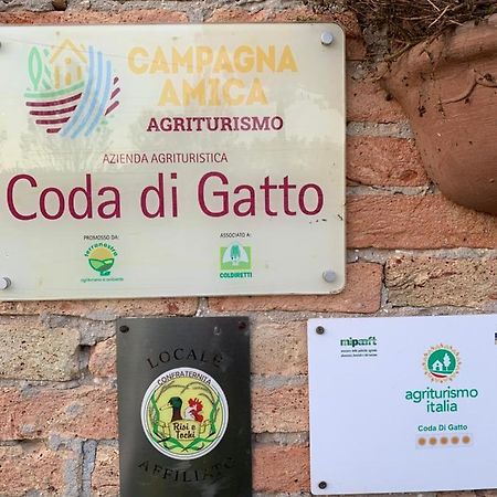 Agriturismo Coda Di Gatto Eraclea Eksteriør bilde